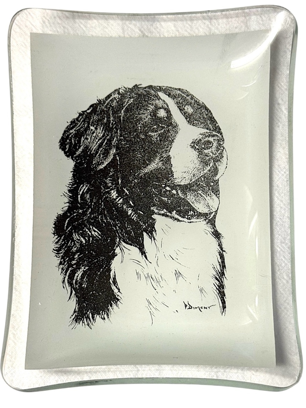 P. Dimeny 70’s Vintage Bernese Mountain Dog Portrait Glass Trinket Tray